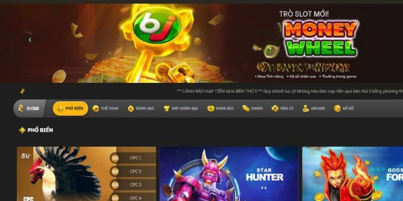 Giới thiệu điều khoản 33WIN